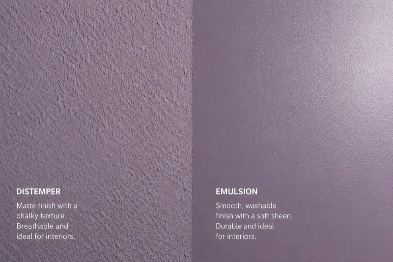 A detailed close-up showing the textural difference between two painted surfaces