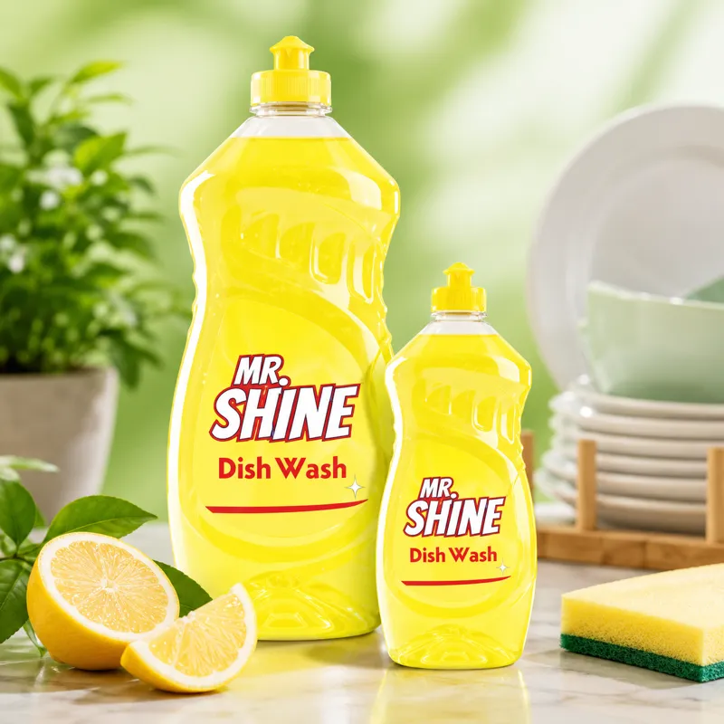 Mr. Shine Dish Wash